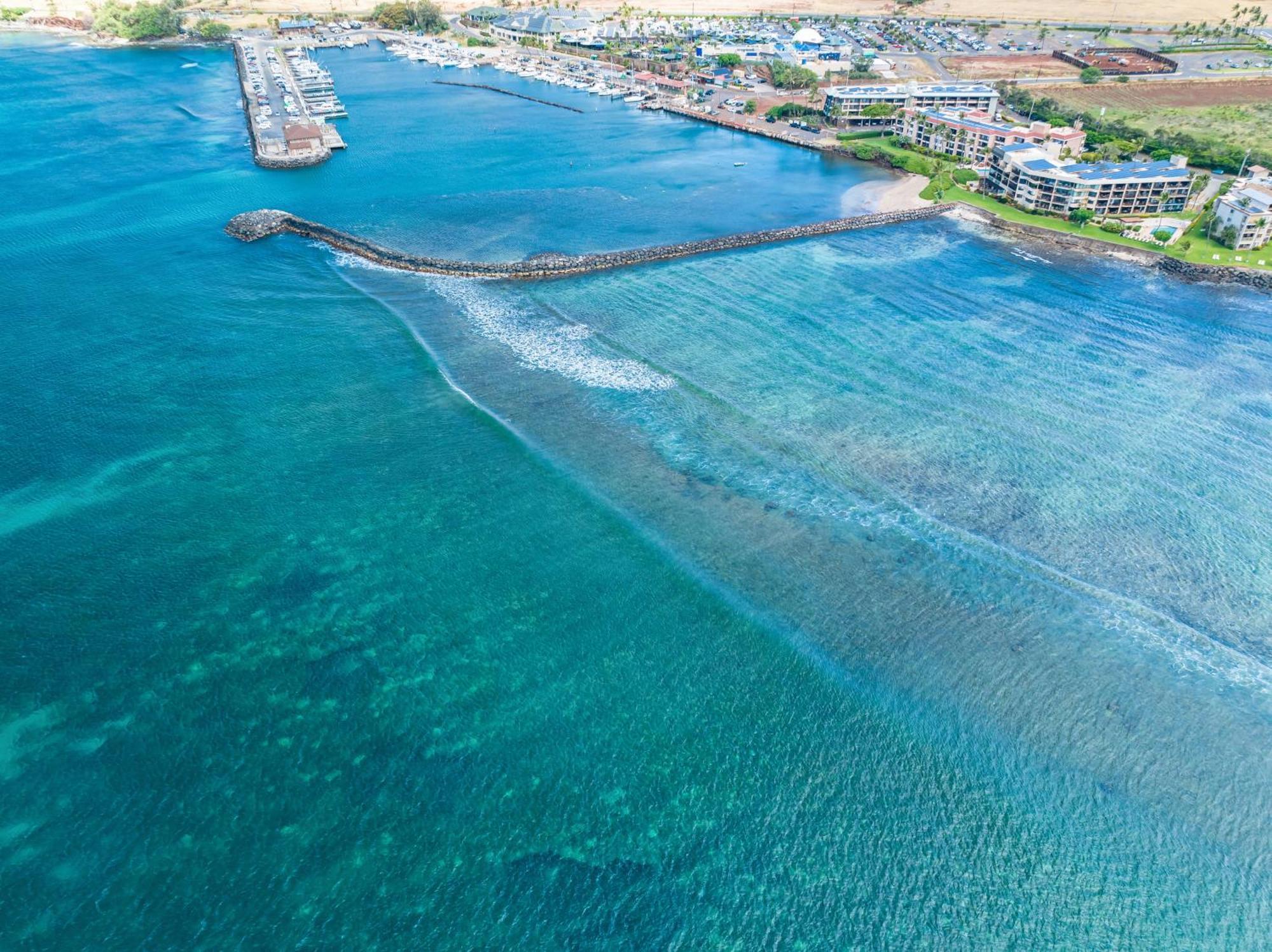 106 Milowai Wailuku المظهر الخارجي الصورة